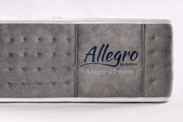 Allegro Adagio - Image 3