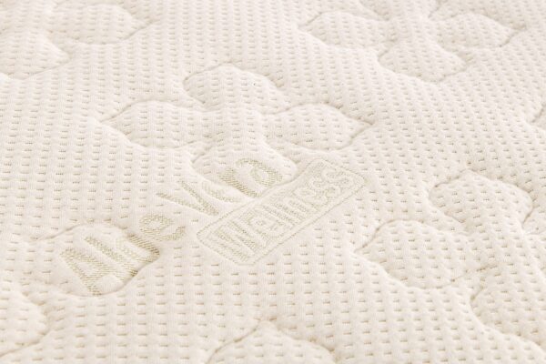 Thierry - Rottex limited edition - Image 5